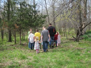 walking in woods